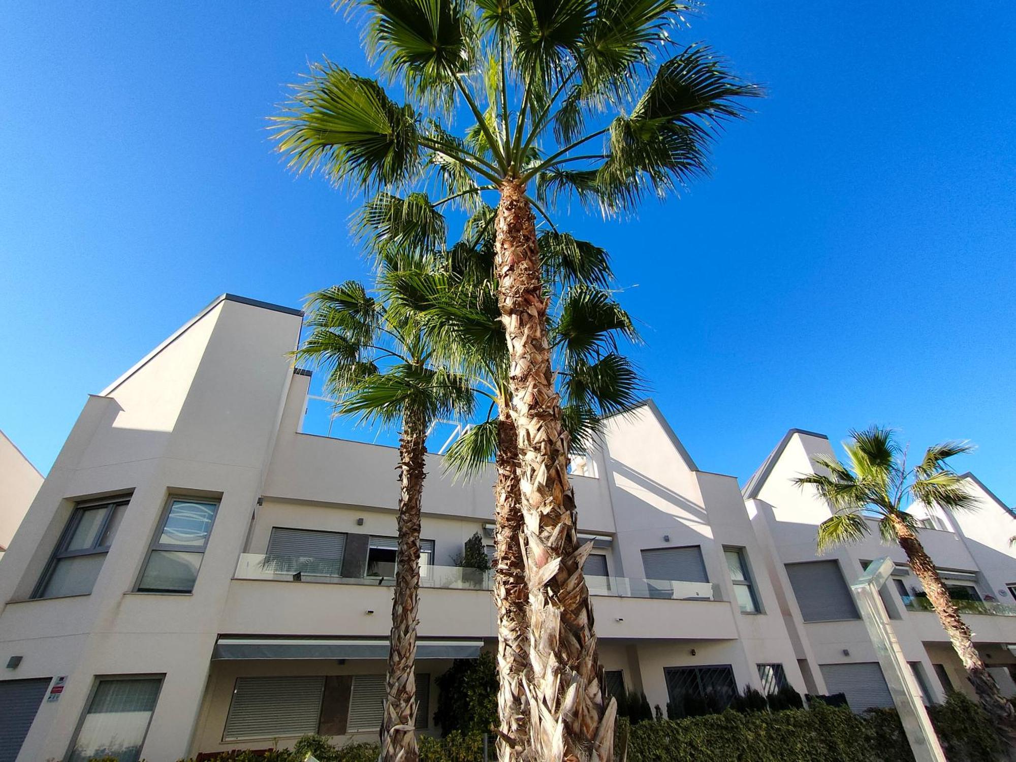 Villa Amalia Eco Torrevieja Habitación foto